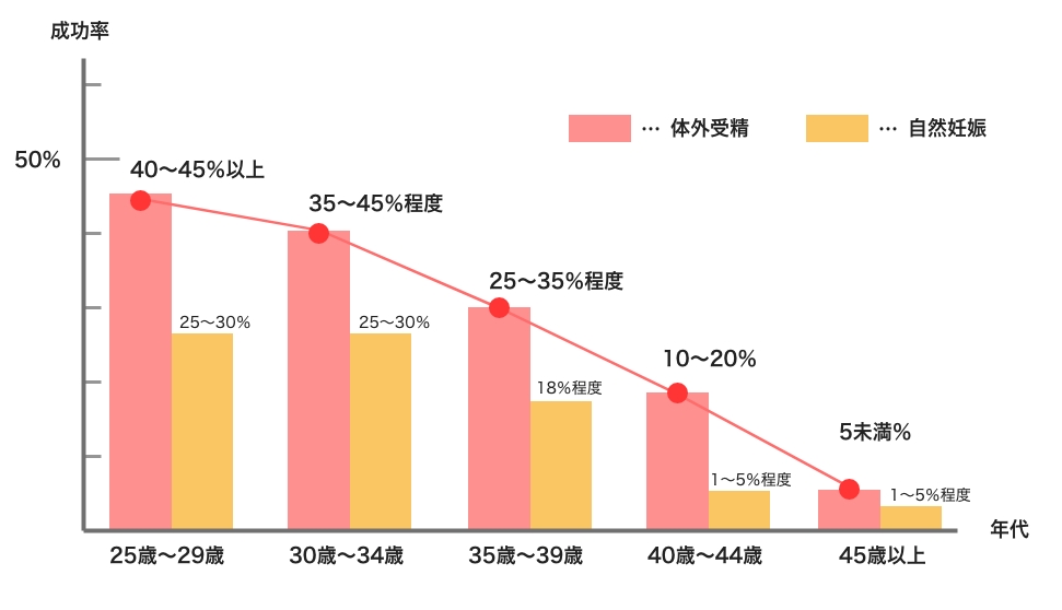 体外受精の成功率